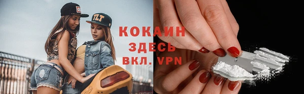 кокс Алексин