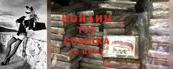 кокс Алексин