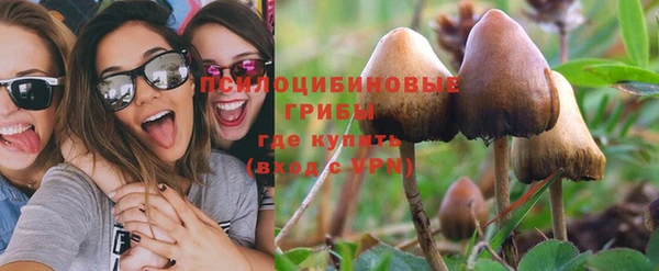 кокс Алексин