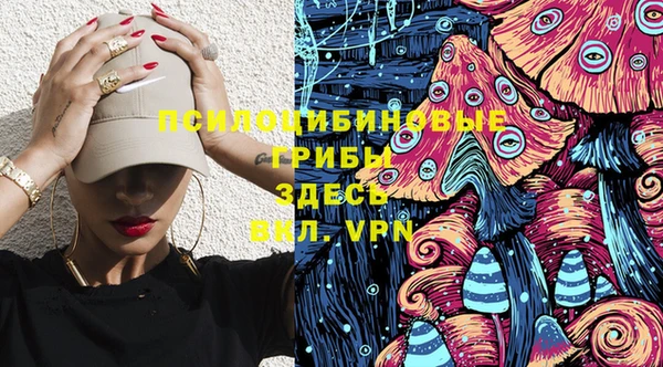 кокс Алексин